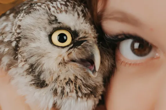 BoaBoa Kasyno Wsparcie